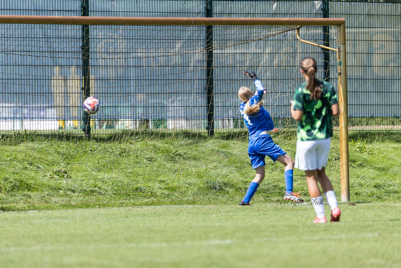 Bild 206 - wBJ Hamburger SV - VfL Wolfsburg : Ergebnis: 5:1